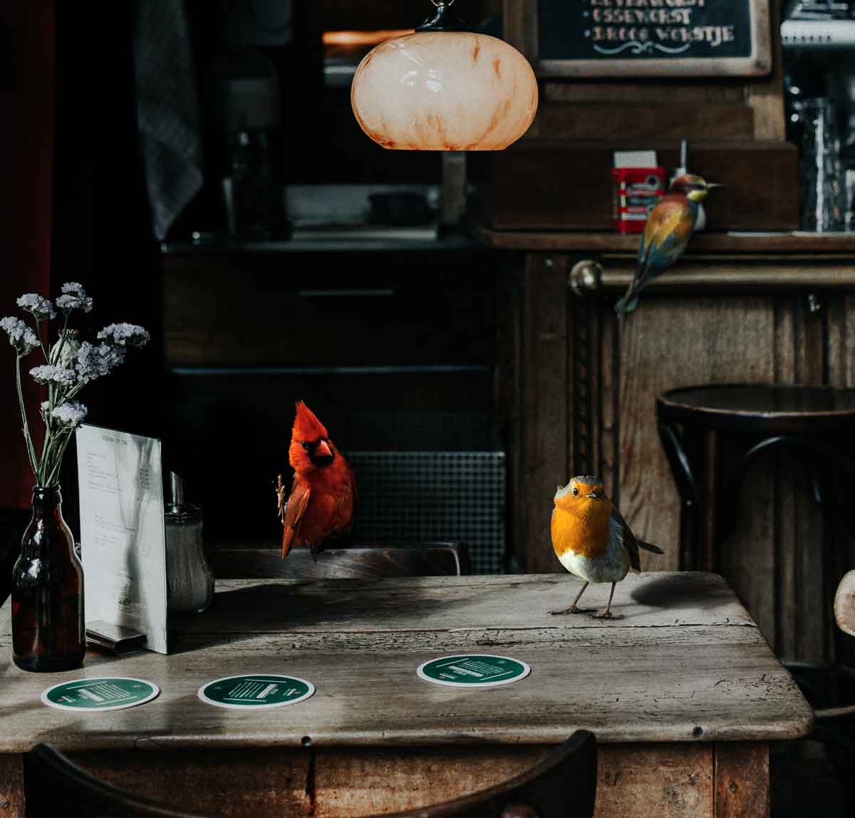 Strange Birds